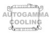 HONDA 19010689023 Radiator, engine cooling